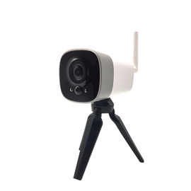 Armazenamento livre a pilhas da nuvem da came 1080p da segurança do IP de Mini Wifi Security Camera With 18650